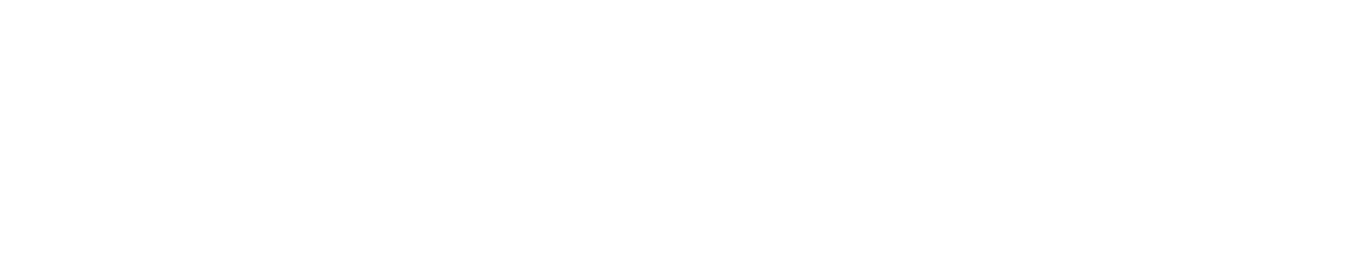 CREDITS: cover art, model, sketches of VENTANA, ARRESTO and CONFESION, clothes sketches, and research by Anya Klepikov; Light sketches of PRELUDIO and HABANA by Ji-Youn Chang and Daniel Vatsky; MEURTE image and CANTAR sketch by Anya Klepikov and Daniel Vatsky; video editing and projection sample by Daniel Vatsky; choreography by Sara Erde; “MUERTE A CABALLO” Projection Image taken from Carlos Saura’s film FLAMENCO; text by Mike Donahue and Anya Klepikov