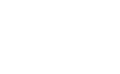 GREY GONE
lauren feldman
(various)